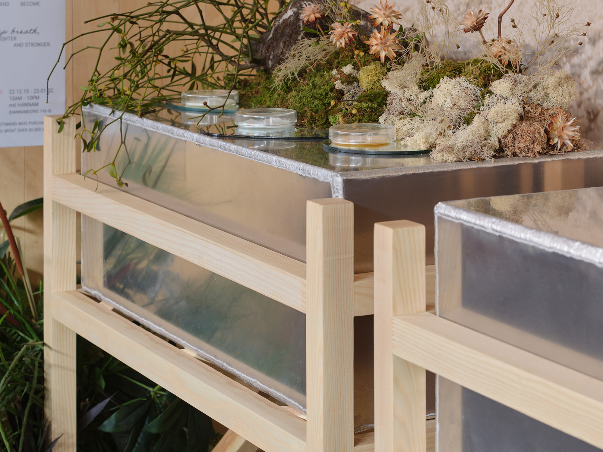 Lasdamas Pop-up store